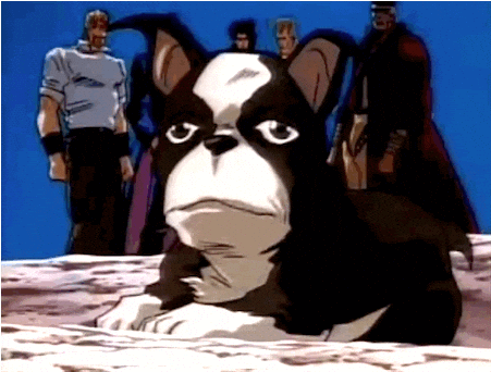 giphy.gif