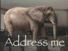 Address Me Meme - Address me - Discover & Share GIFs