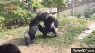 UkTbHV.gif
