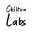 chiltonlabs.ru