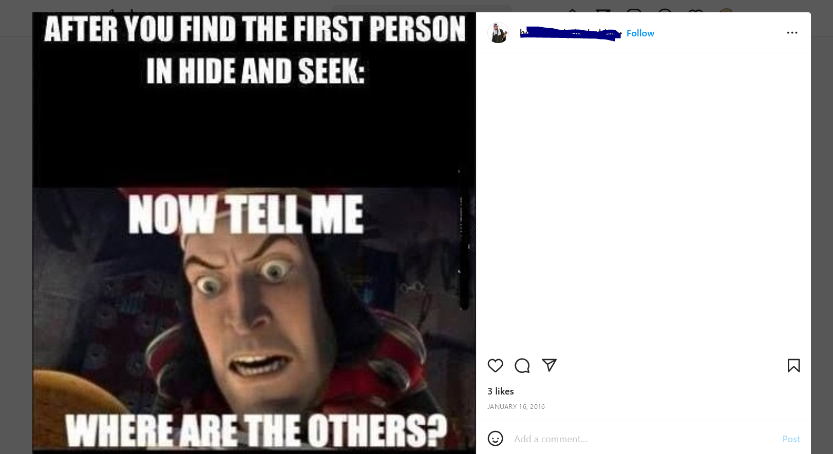 Hide