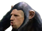 1496836499-ribesinge.png