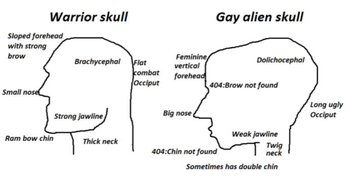 Why do people think Warrior Skulls are better than Gay Aliens Skulls? - GirlsAskGuys