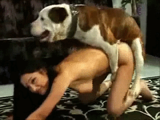 animalfuckvideos1.gif