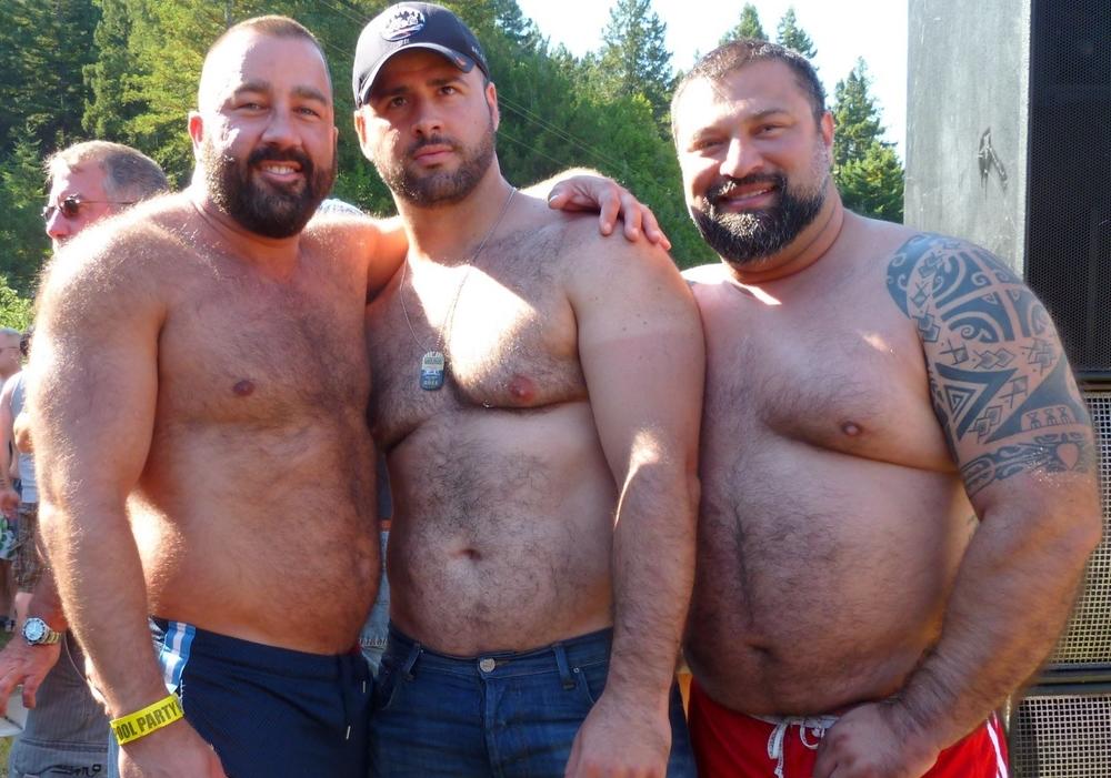 bears-muscle-bear.jpg