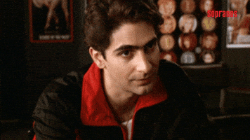 sopranos mafia GIF by HBO