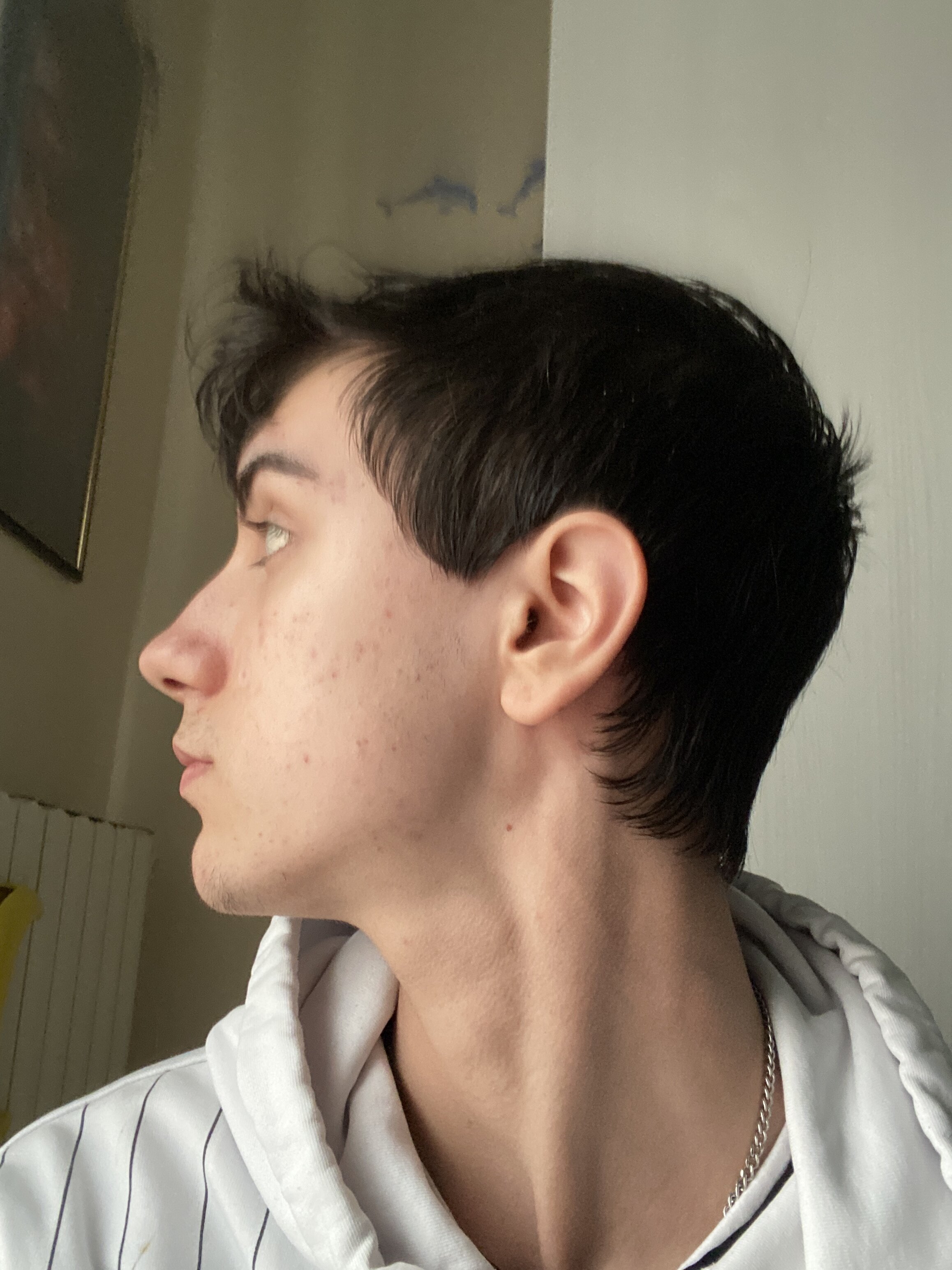 6127596_image.jpg