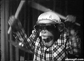 excited monkey GIF