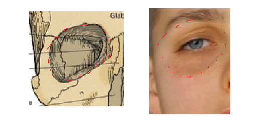 6511392_1782730863687.png