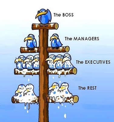 Company+hierachy.jpg