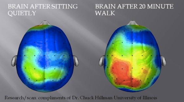 3025957-inline-i-1-what-happens-to-our-brains-when-we-exercise-and-how-it-makes-us-happier.jpg