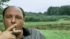 EDIg.gif