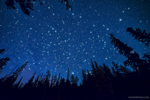 geneticliteracyproject.org