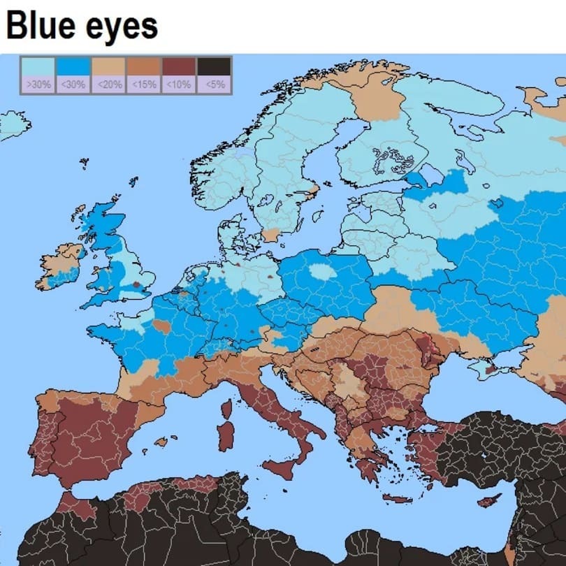 The distribution of blue eyes across Europe. The map unsurprisingly shows  that lighter eye colour seems to be a trait more... – @europeanorigins on  Tumblr