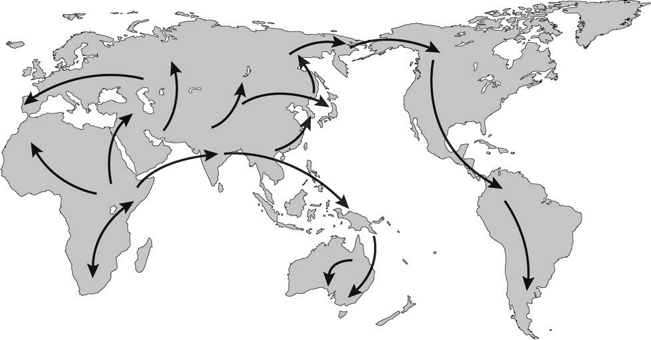 BSCS_05_info-06.jpg