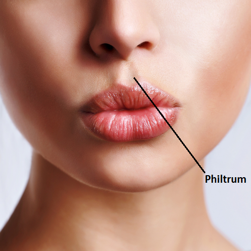 181014043856Philtrum.png