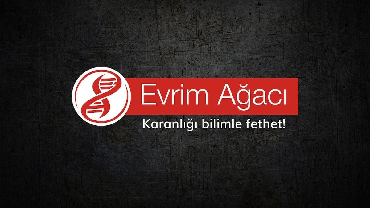 evrimagaci.org