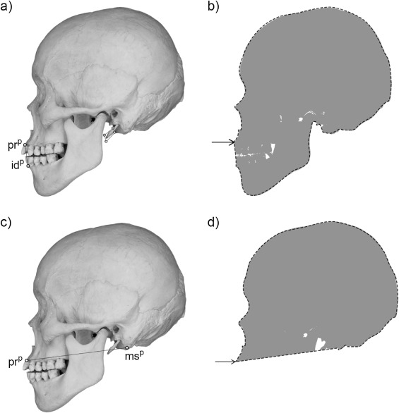 1-s2.0-S0379073818303293-gr1.jpg