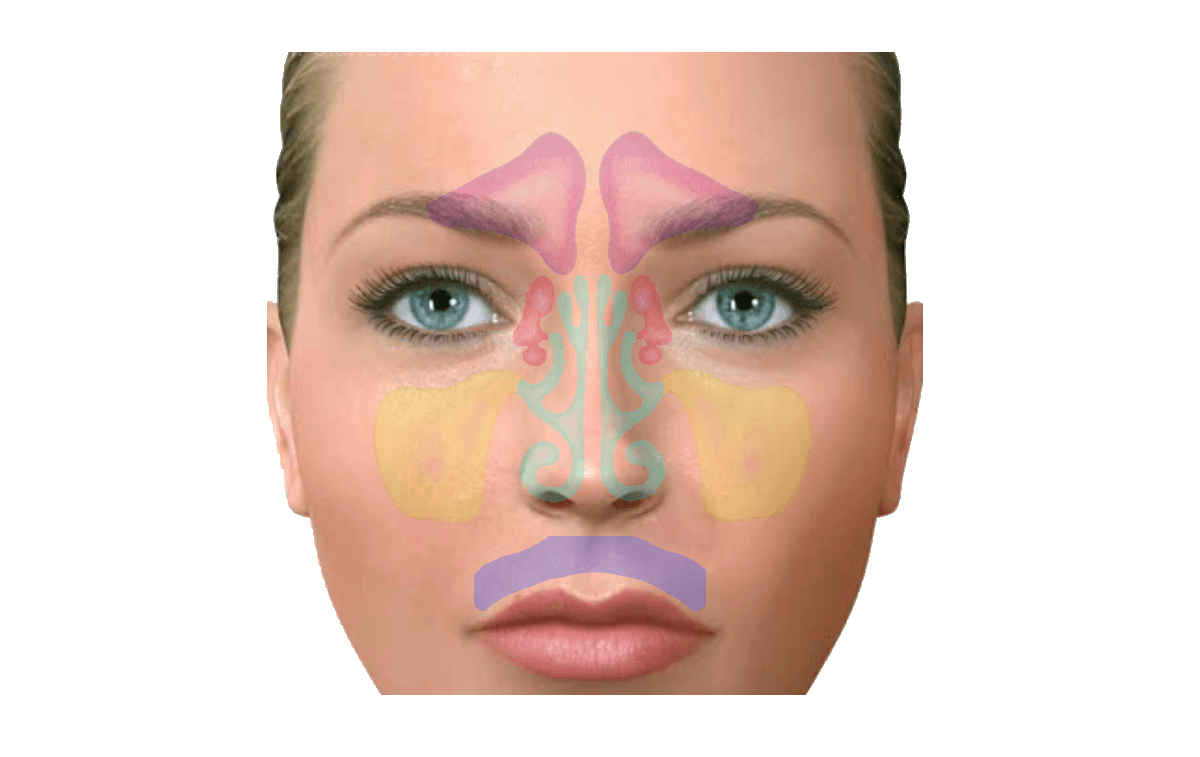 www.institutomaxilofacial.com