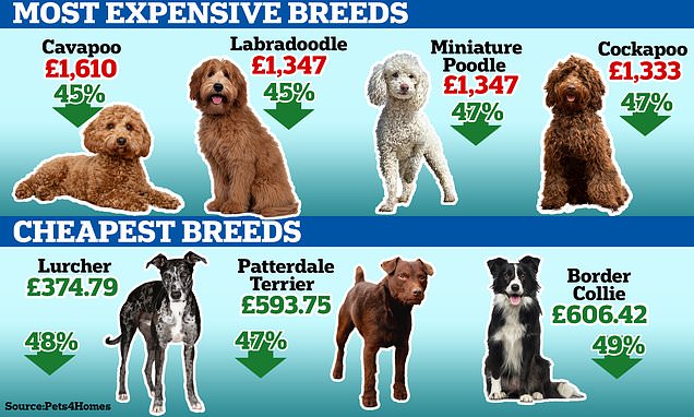 www.dailymail.co.uk
