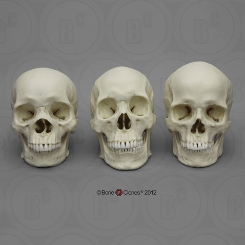 product-1872-main-main-big-1415045525.jpg