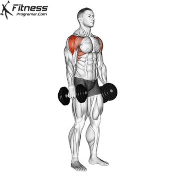 Dumbbell Lateral Raise: A Visual Guide To Proper Form