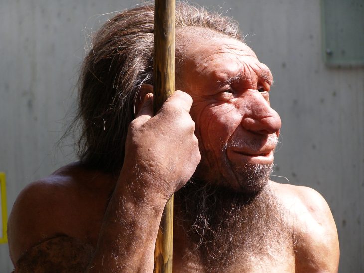 Neanderthal-Man-730x548.jpg