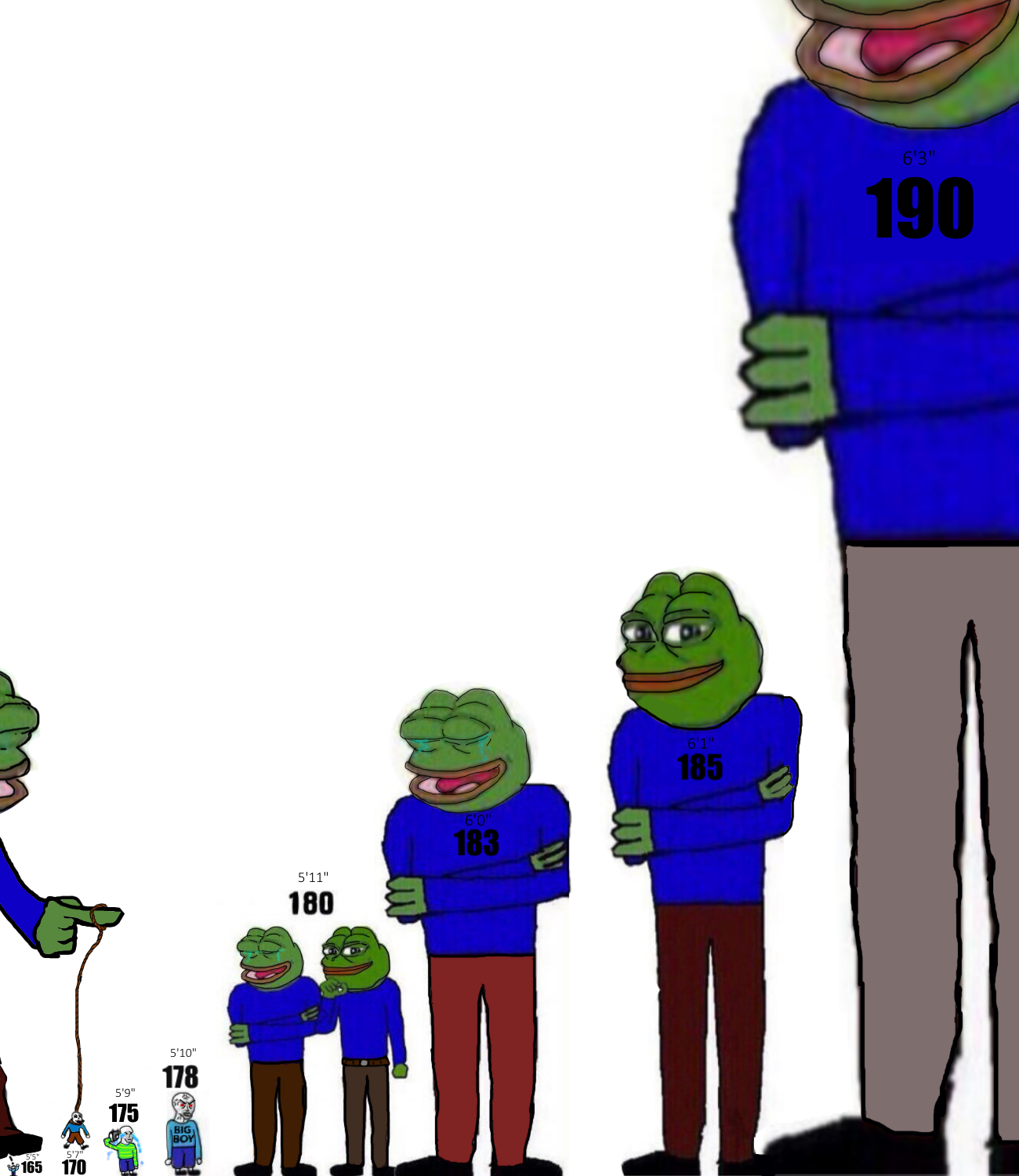 53f.png