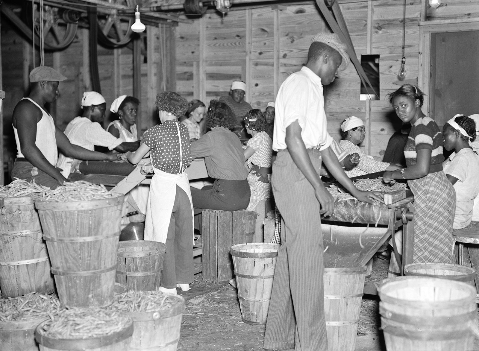 migrants-many-beans-canning-plant-Florida-hardships-1937.jpg