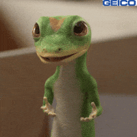 Shaking Head What GIF by GEICO