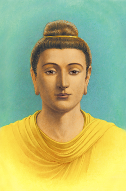 gwvddxjow0v41.png