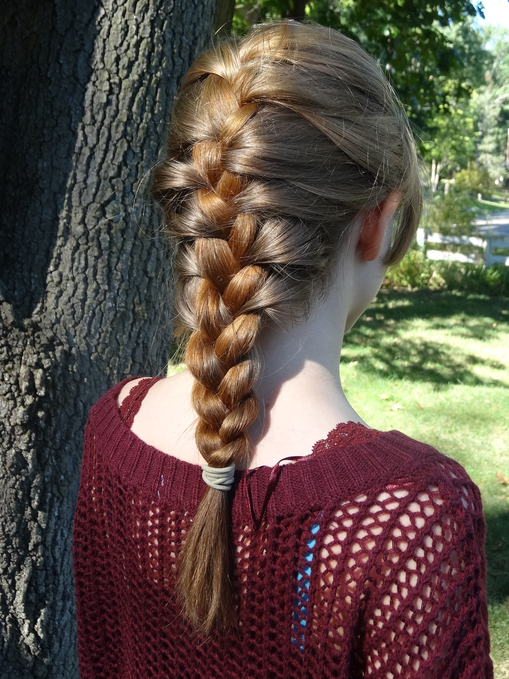 Classic_French_Braid_%282%29.JPG