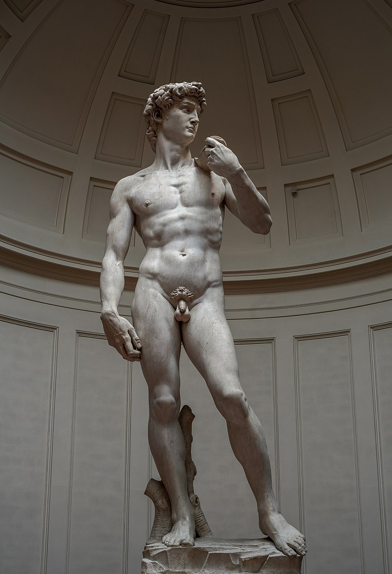 800px-Michelangelo%27s_David_-_right_view_2.jpg