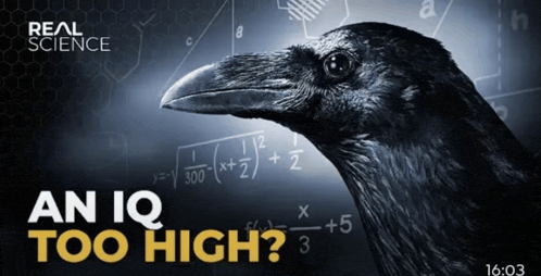 an-iq-too-high.gif