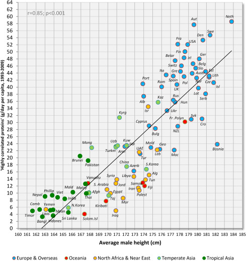 Correlation between male height in 93 countries and the average daily consumption of ‘highly correlated proteins’ from milk products (dairy), potatoes, eggs, pork and beef (FAOSTAT, 1993–2009).