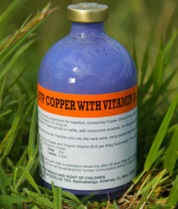 bvp_copper_with_vitamin_b-255x300.jpg