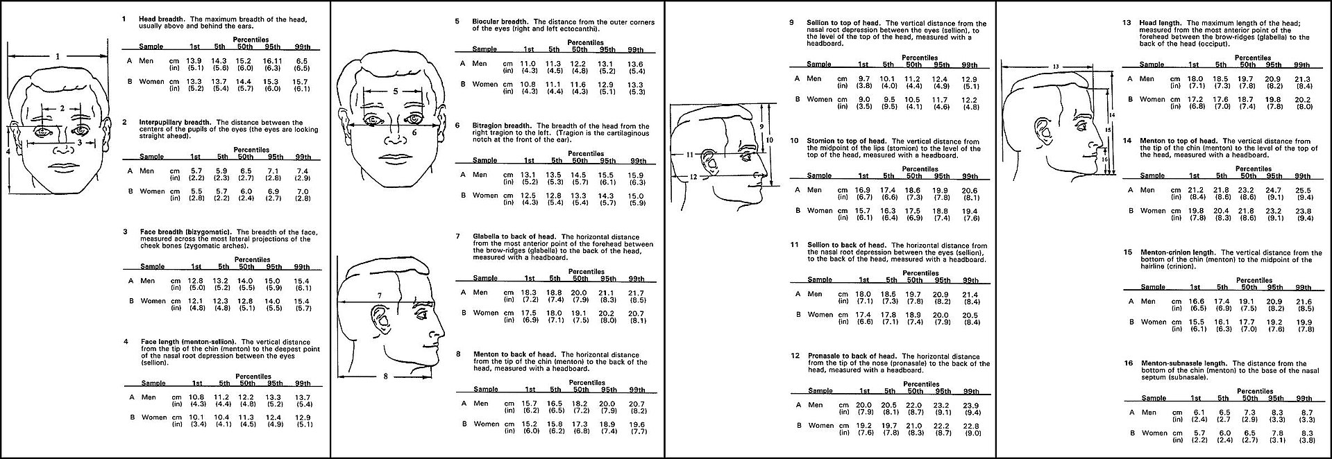 1920px-HeadAnthropometry.JPG