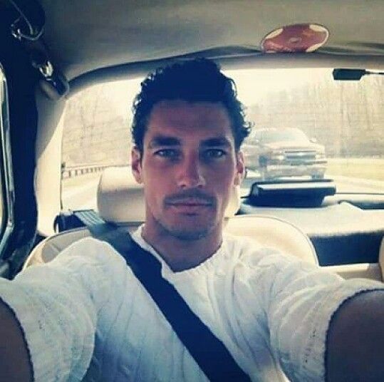 I love when David does Selfies