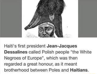All Poles are legally allowed to use the n-word: HistoryMemes