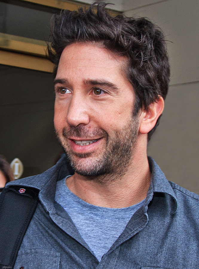 David_Schwimmer_%285208598833%29.jpg