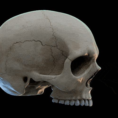 Forwardness compress