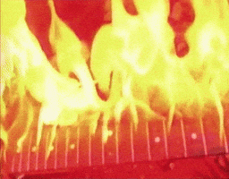 sub pop burn GIF by Sub Pop Records