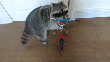 insta.gif