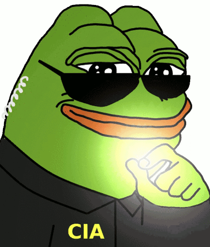 a cartoon frog wearing sunglasses and a black shirt that says cia