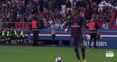ligue 1 sport GIF by beIN SPORTS