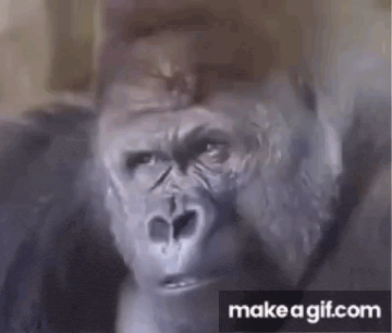 a gorilla is looking at the camera with a serious look on its face .