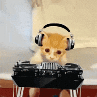 dj GIF
