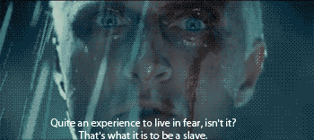 tumblr_m0u4rcKXTd1qfk3lfo1_400.gif