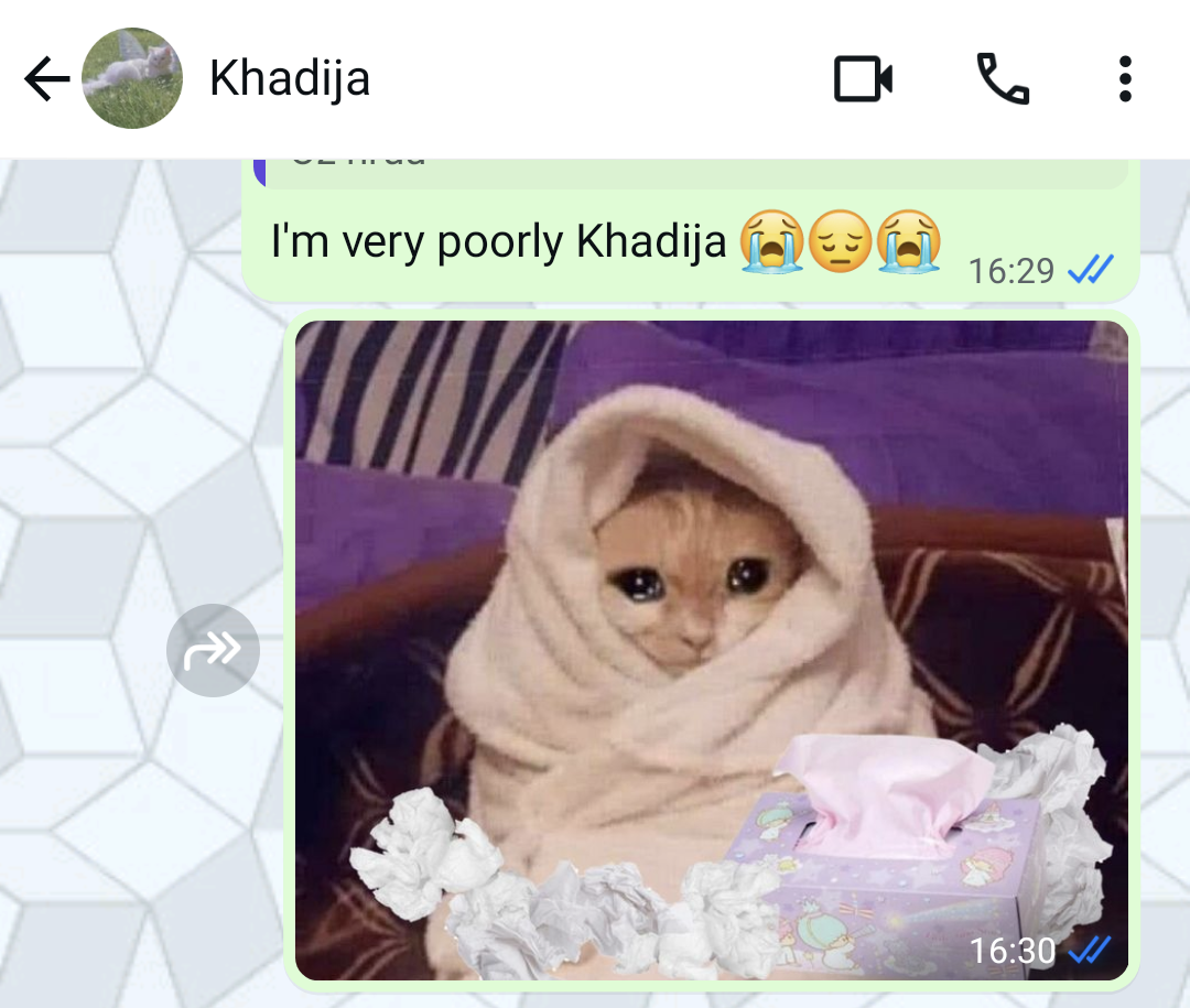 Screenshot 20250625 2307542