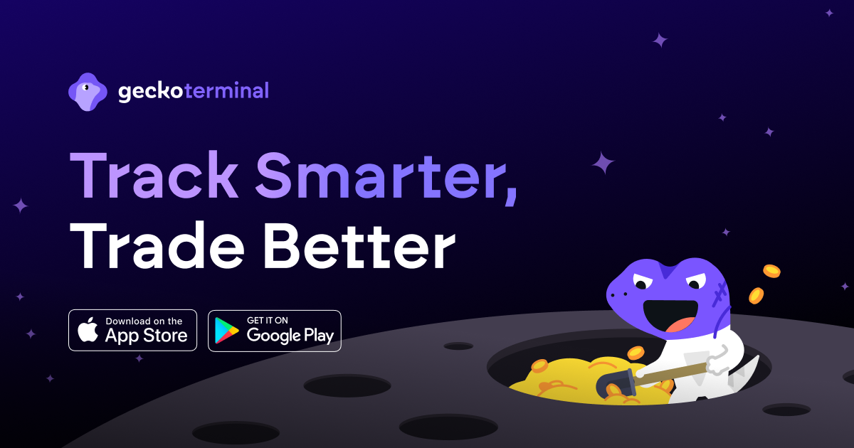 www.geckoterminal.com